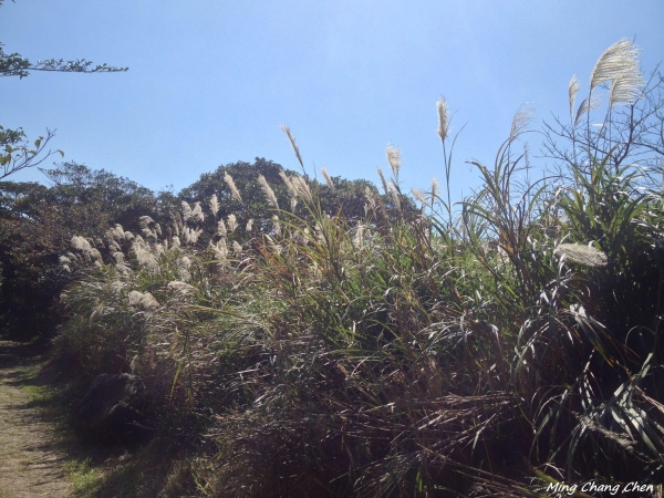 【山岳之美】~大屯主→七星主→ 七星東→夢幻湖→擎天崗5574