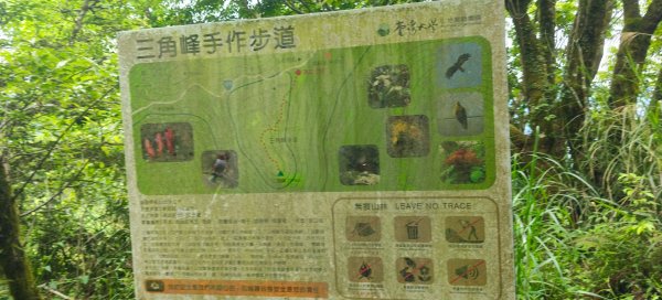 三角峰3055438