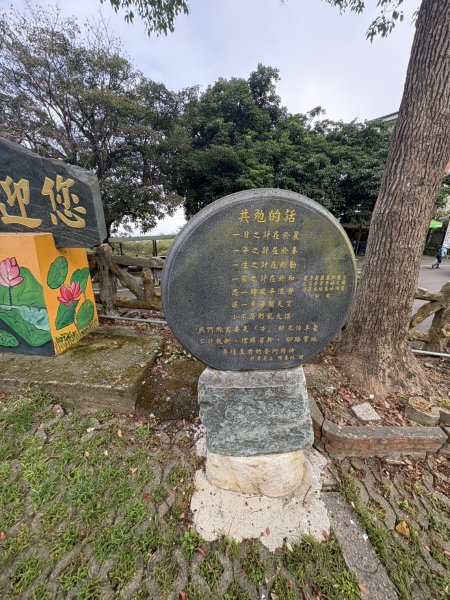 20251025南化龍湖寺至紫竹寺O繞(石松子山.大竹崙山.竹子尖山)2925071