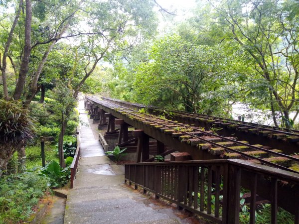 林田山文化園區 森坂步道934467