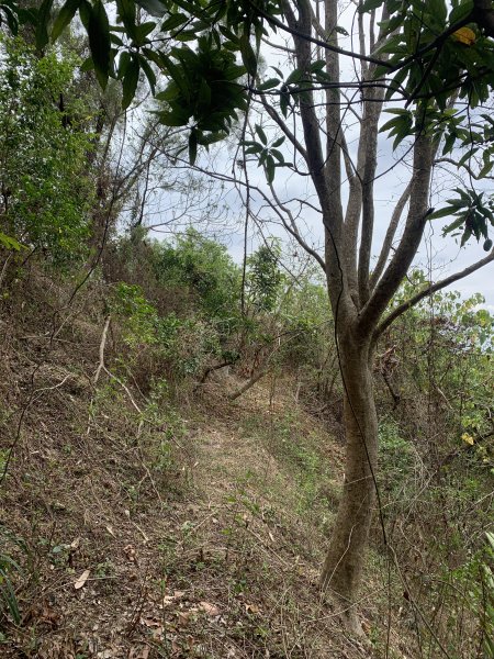 20250531屏東武潭(新厝山)2803209