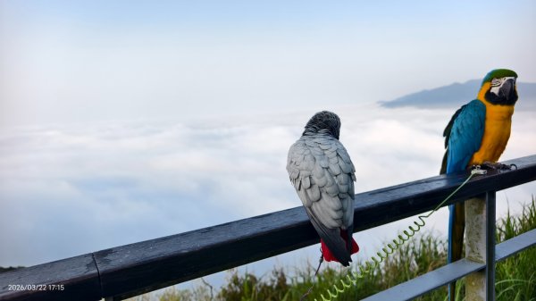 #觀音山 #雲瀑 #雲海 #夕陽 #琉璃光 3/223020068