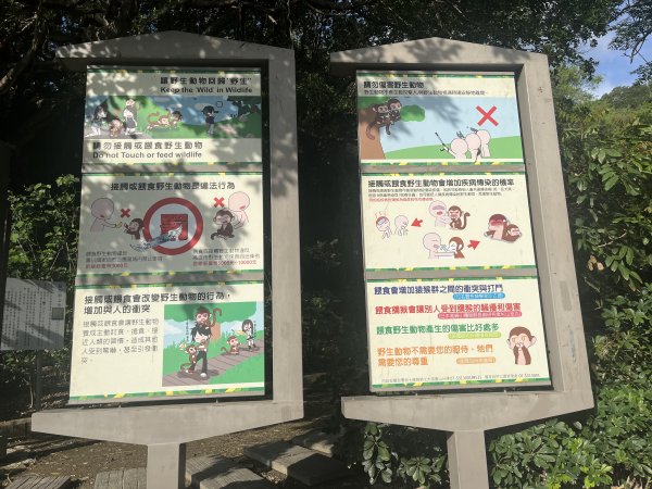 [踢不爛大地遊戲-10/10] 2024_0505 北柴山登山步道(北壽山)2496846