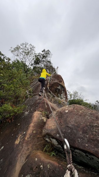 迎新（2026元旦2975584