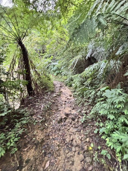 二格山、南邦寮山2941691