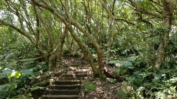 基隆市海興森林步道-情人塔-老鷹岩-情人湖登山步道O型3092718