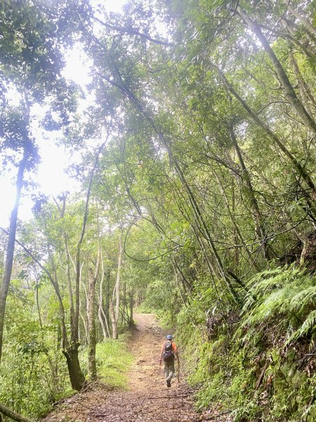 登頂福興山、福興山東峰    2024.8.112570635