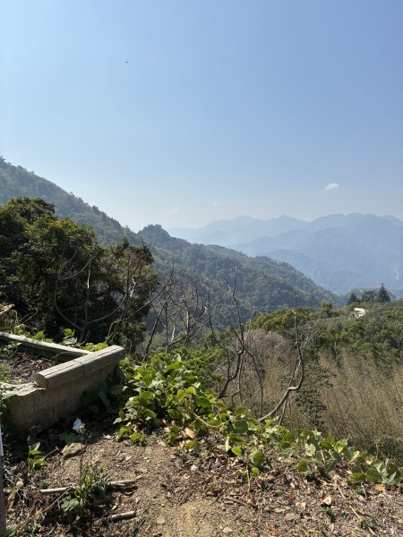 20260322[公車]石壁山&嘉南雲峰3019910