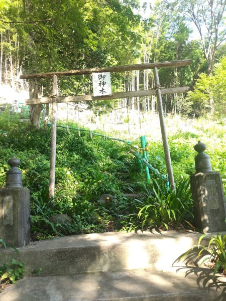東京八王子高尾山3090116