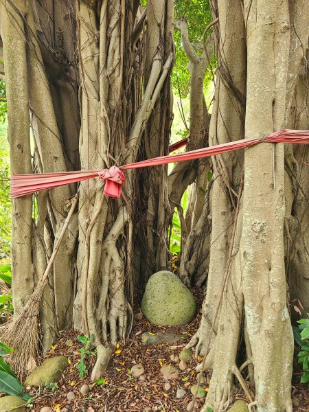竹坑南寮登山步道~舒服山景2759635