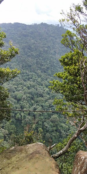 內鳥嘴山，北得拉曼神木群步道，瀑布初體驗1062604