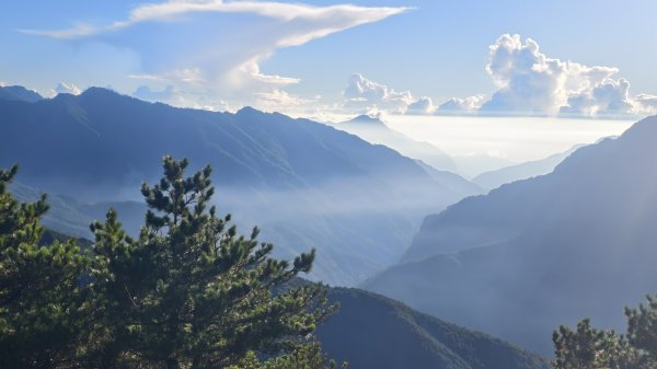 合歡山北峰 小溪營地 鷹角石 合歡北峰名樹2915337