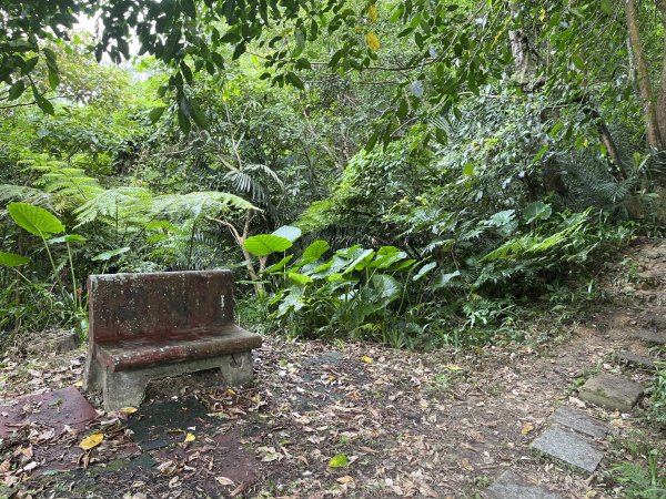 [微笑山線_第三段] 2025_0720 鳶山山系_鳶尾山2843643