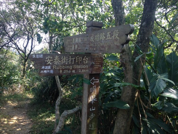 康樂山登山步道586171