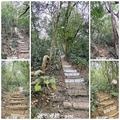 【屏東來義】小百岳棚集山x棚集下山O 繞3013088