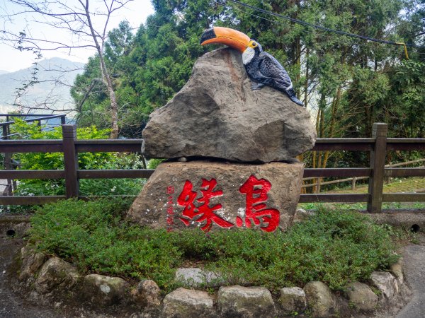 鳳凰谷鳥園2961125