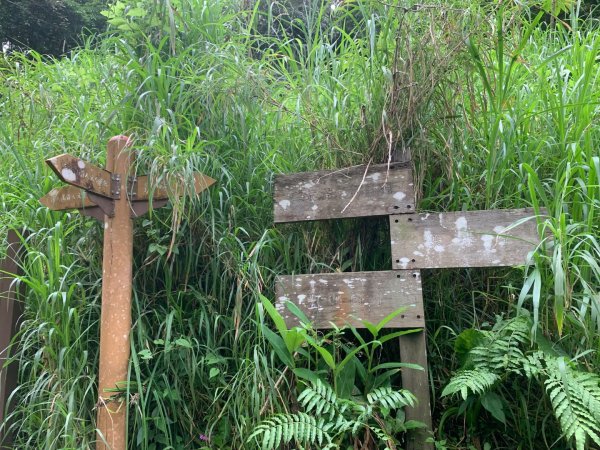 大崎棟古道、騎龍古道2772356