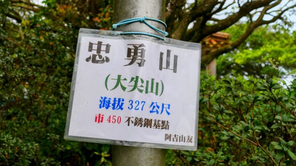 《臨江仙・碧山巖櫻花》2714224