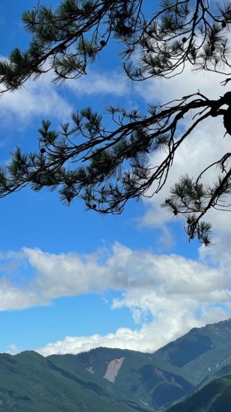 閂山鈴鳴山封面