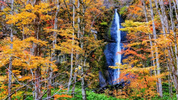 青森縣奧入瀨溪2929985