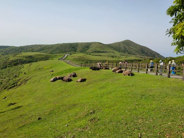 ［走遍陽明山］頂山石梯嶺步道+坪頂古圳2186450