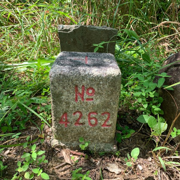 20240831屏東獅子頭山-鐵劍山-竹坑山2586047