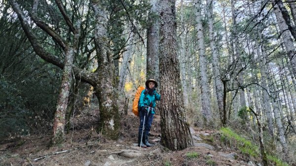 中央尖山四天20260412~153037967