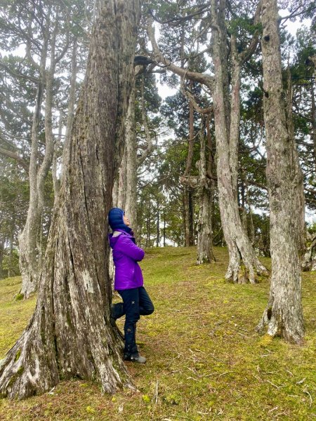 啟動高山度假模式~金牌三小隊之馬博橫斷8日2964961
