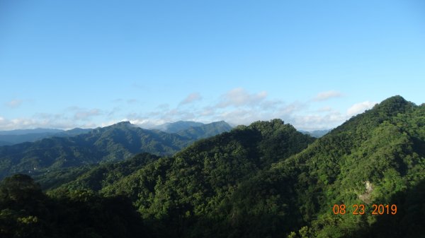 補考 - 艷紅鹿子百合656629