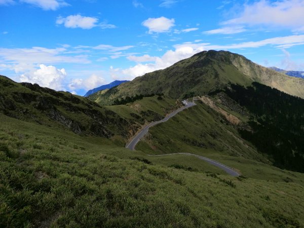 南投仁愛~站在雲端上。百岳~合歡主峰步道1013552