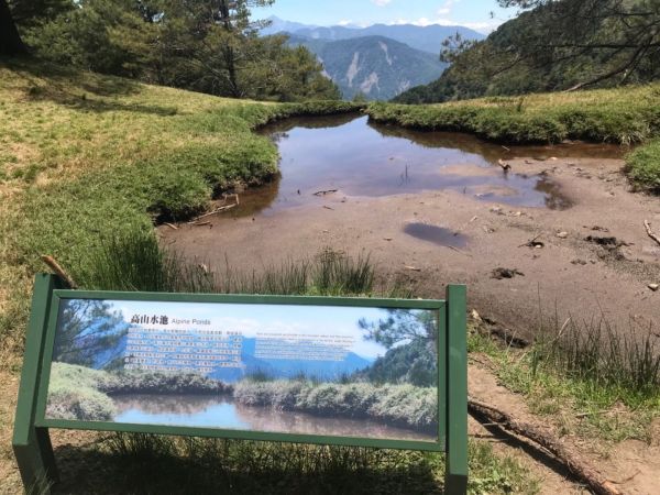 鹿林前山-鹿林山-麟趾山~O型環走339046