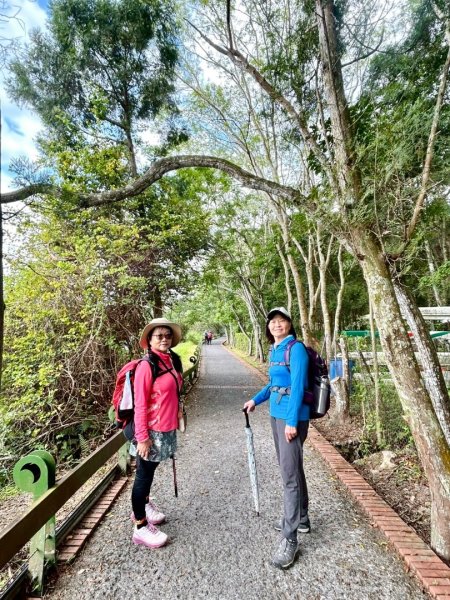向山走頭社賞花海 鐵馬快閃水社碼頭3048965
