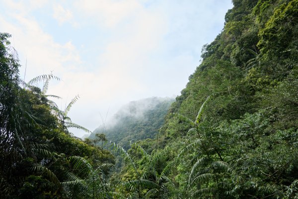 兩日立霧山觀景台(日出行程)2114809