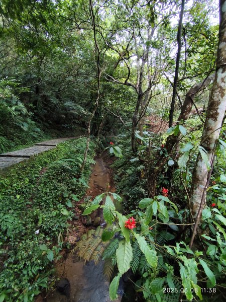 【臺北大縱走6】中華科大步道→九五峰→南港山→糶米古道→軍功山→中埔山→福州山公園→富陽自然生態公園2730076