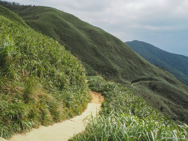 [宜蘭]五峰旗-聖母山莊-三角崙山820496