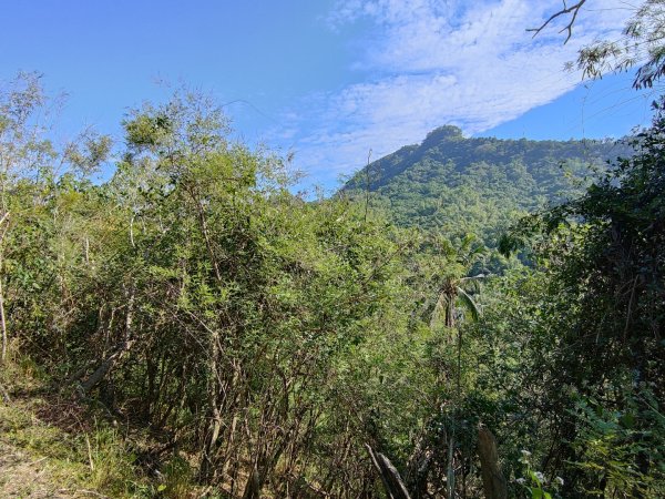 2023.12.24 旗尾山2838040