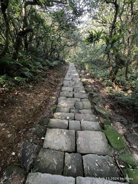 桃源谷步道(大溪－福隆)2430610