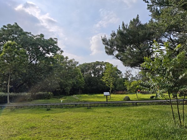 [霄裡好風光，運動樂悠遊！-6/10] 2025_0608 大湳森林公園2808217