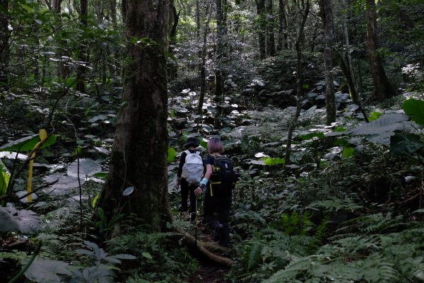 新竹尖石鄉 煤源社區上李棟山、大混山出凌空廊道2550502