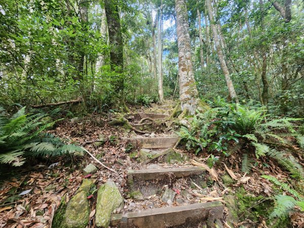 20250831鳶嘴稍來2928600