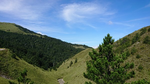 念念不忘合歡北峰1099260