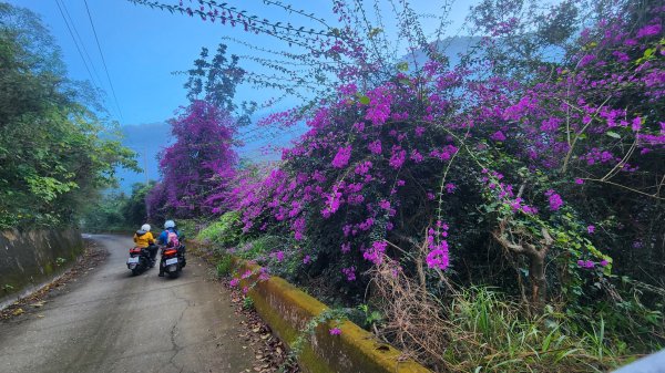 20250215屏東北湖呂山2715893