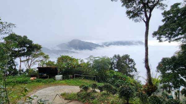 111/12/18藤枝森林園區東藤枝山、藤枝山1979589