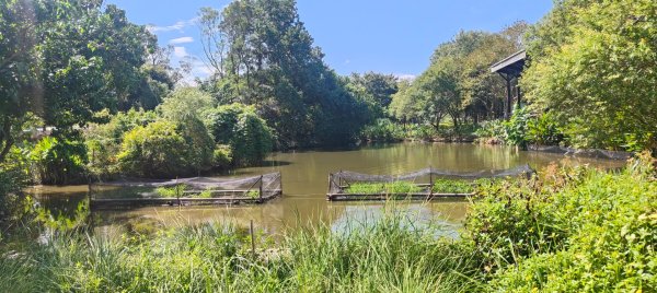 八德埤塘生態公園2890758