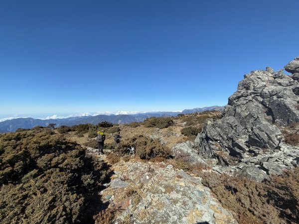 20250104-05 向陽縱走魔保來溪頭山出關山嶺山2683514