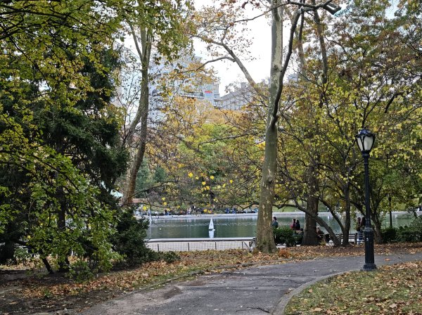 [紐約馬之行-11] 2025_1101 中央公園-畢士大露臺2945098