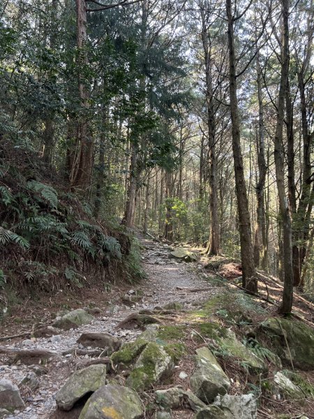 小百岳-稍來山2752434