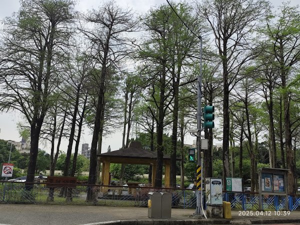 宏匯瑞光廣場、大港墘公園、至誠公園、師大公園2761905