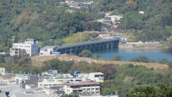 《台中》落雨松季｜石岡挑物古道O繞下情人木橋202501122687627