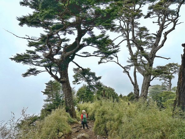南橫三星 庫哈諾辛山 塔關山 關山嶺山2754850